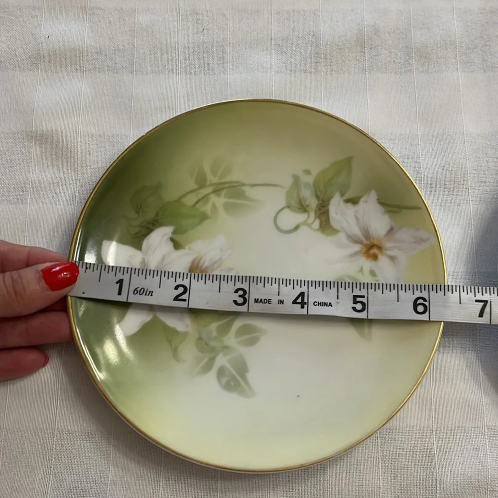 Antique delicate white floral design on porcelain plates RS Tillowitz Germany